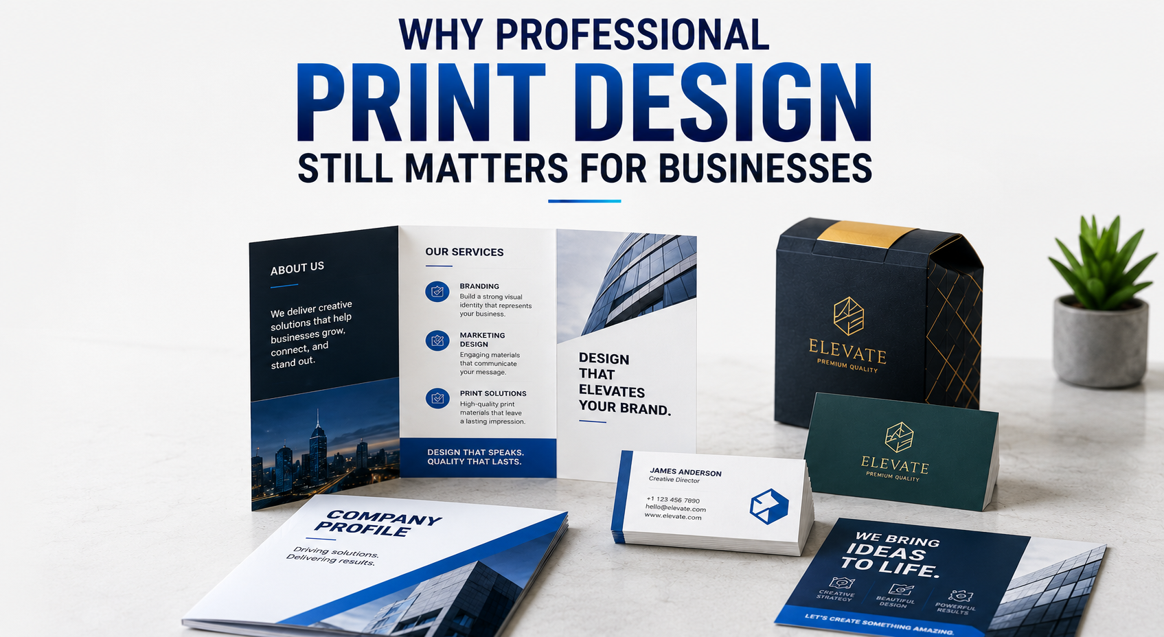 Professional print design featuring branded brochures, business cards, packaging, and marketing materials.